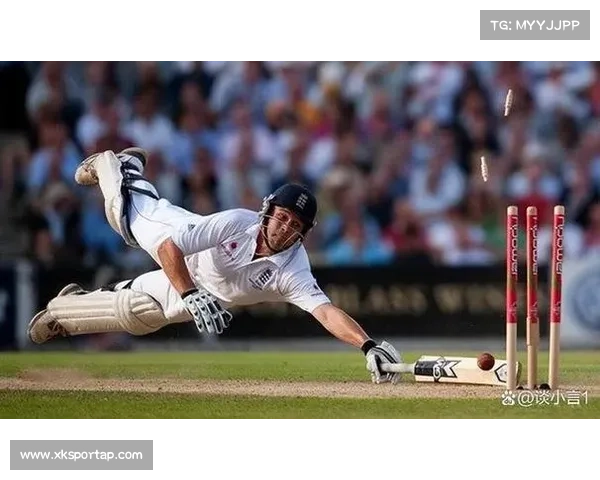 澳大利亚板球协会启动反腐调查 三名高管暂时停职处理 澳大利亚板球协会启动反腐调查 三名高管暂时停职处理